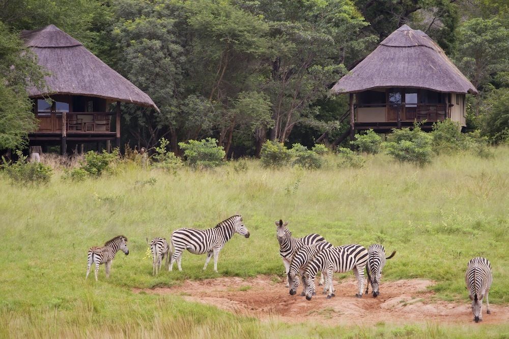 Ivory Lodge Dete Экстерьер фото