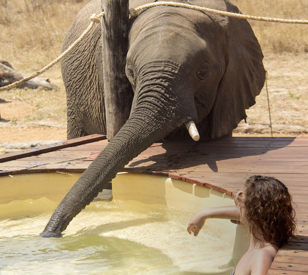 Ivory Lodge Dete Экстерьер фото