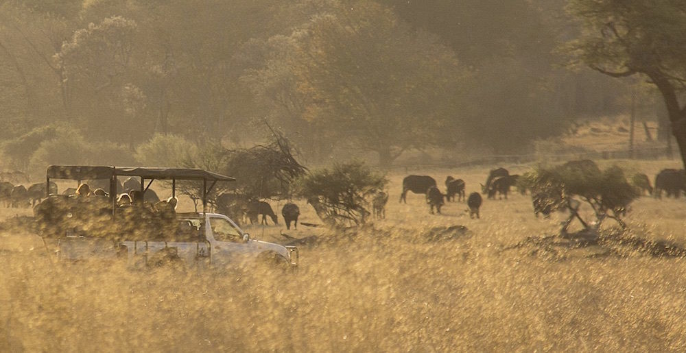Ivory Lodge Dete Экстерьер фото