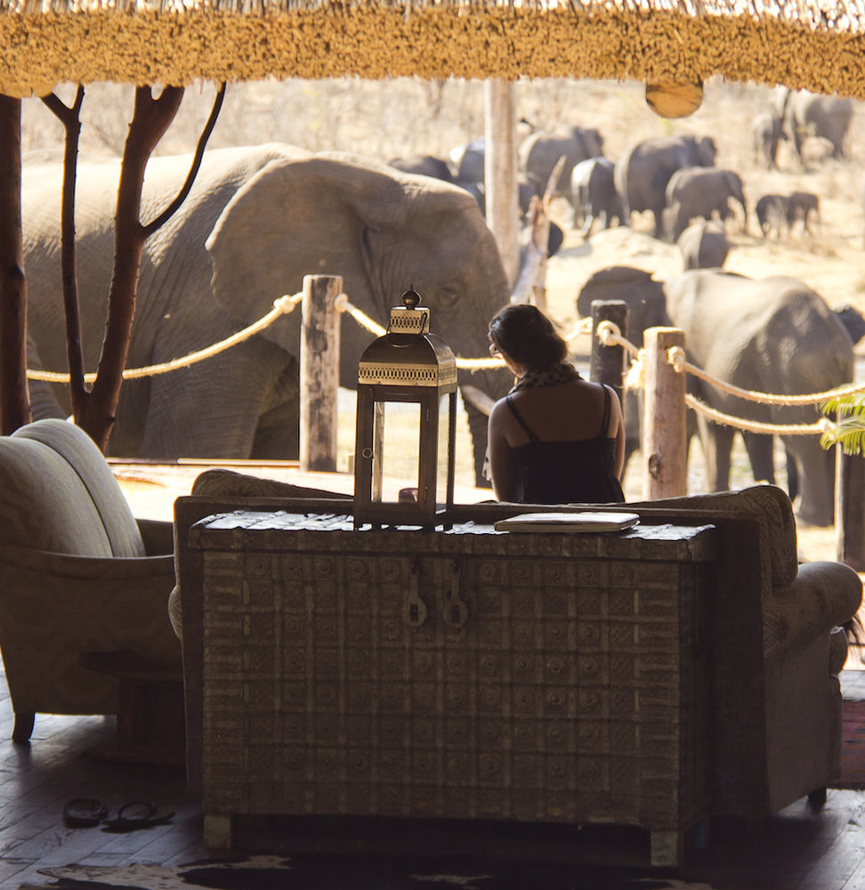 Ivory Lodge Dete Экстерьер фото